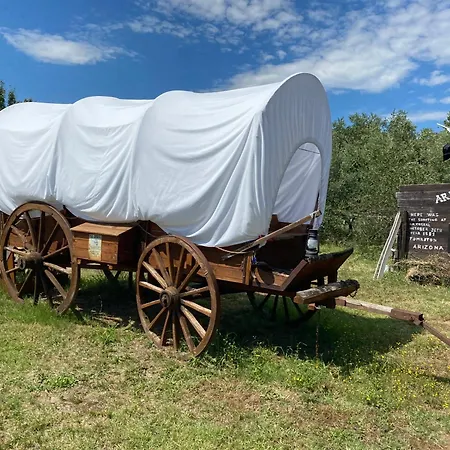 Ok Corral Ranch Western Bed & Breakfast